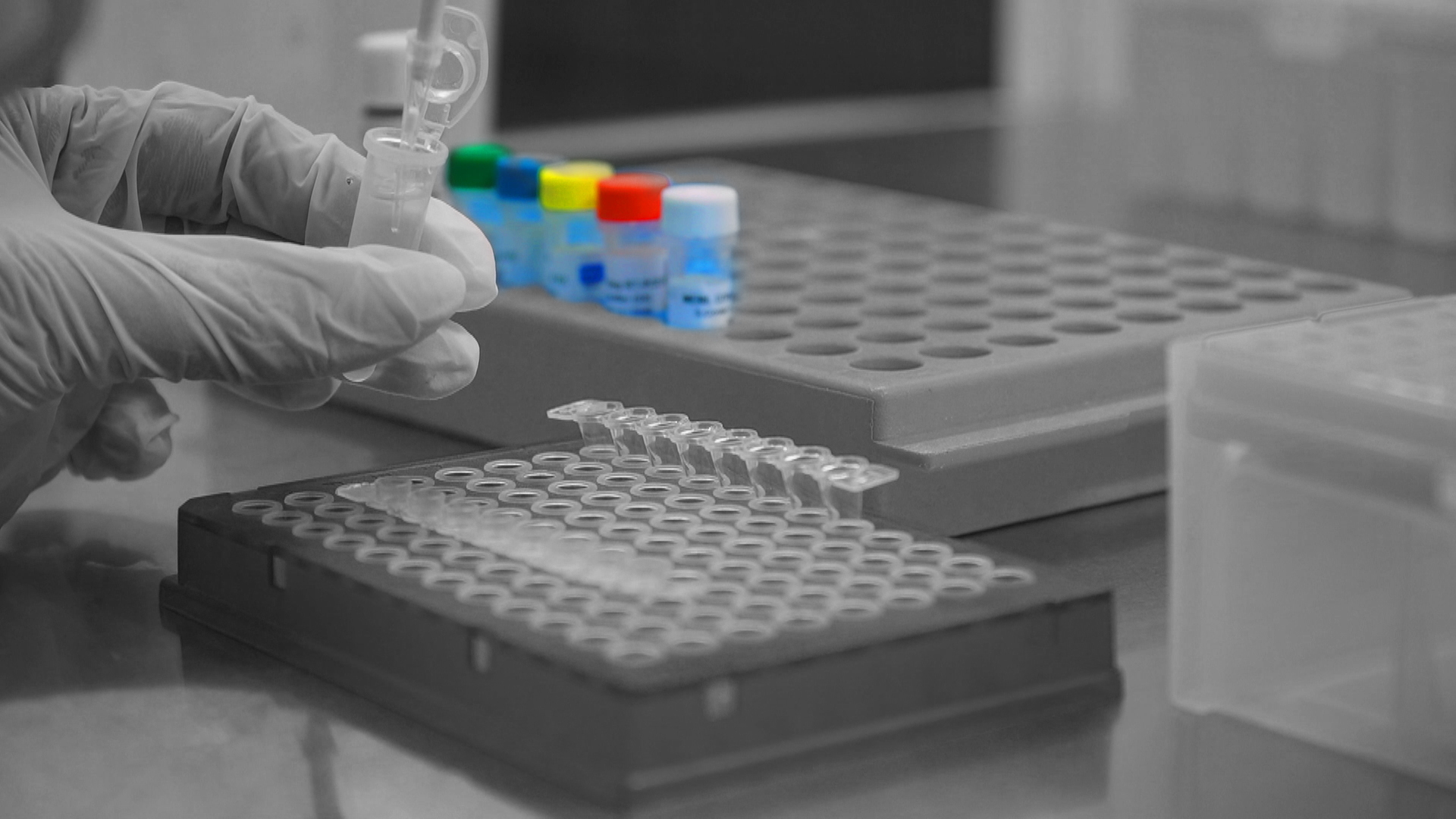 Laboratory Image 3